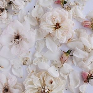 Meet your Posher, Mona